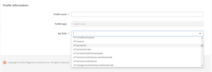 Filling the Profile Name and API Path mandatory
fields